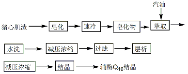 辅酶 Q10|303-98-0合成方法