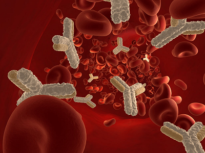 《Journal of Immunology》CD38人源化抗体DARA能够引发FcR介导的细胞程序性死亡