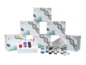 小鼠1-磷酸鞘氨醇(S1P)ELISA试剂盒产品图片